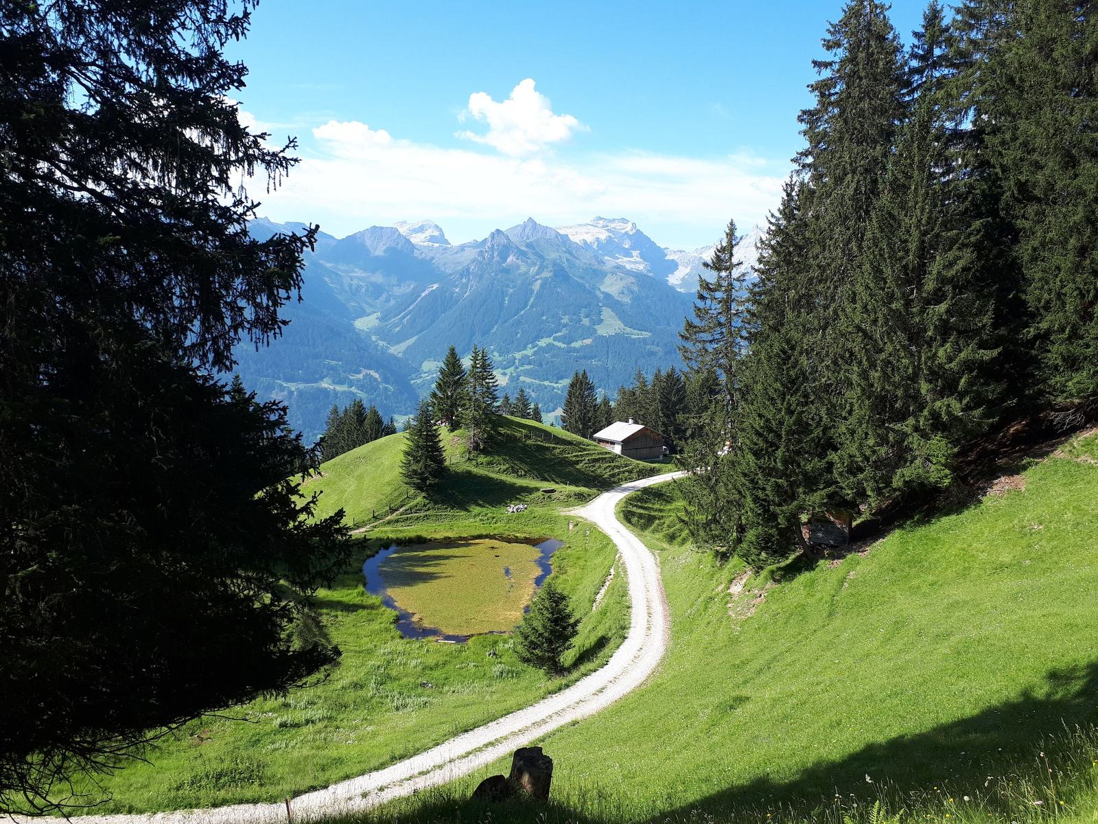 Wanderweg Sommer